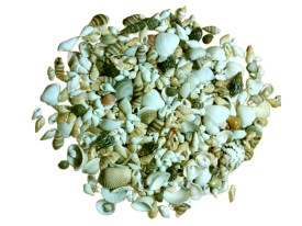 Bolsa caracoles x 500gms